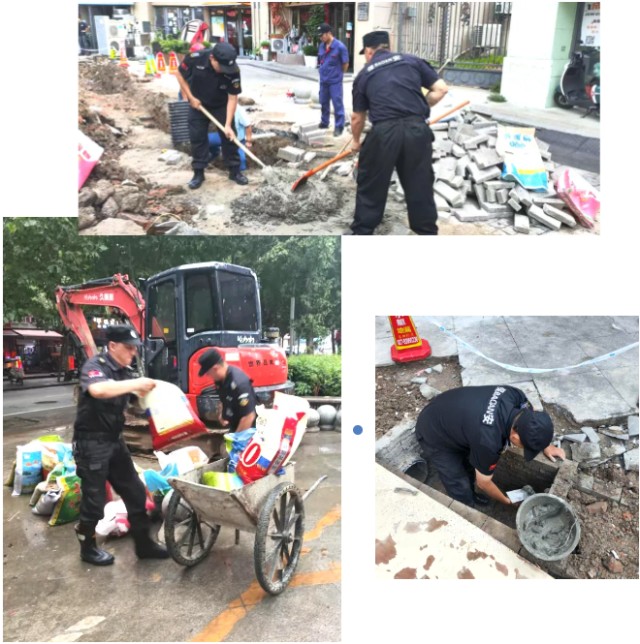 图片 21.jpg 图片 21.jpg